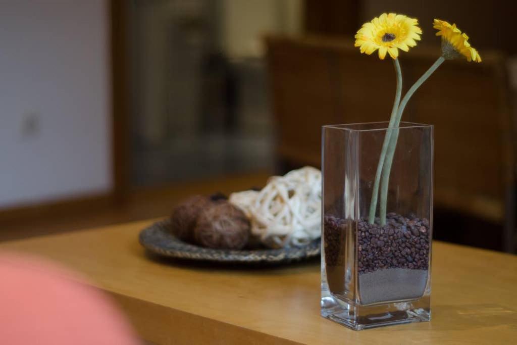 Ripoll Apartments Barcelona Luaran gambar